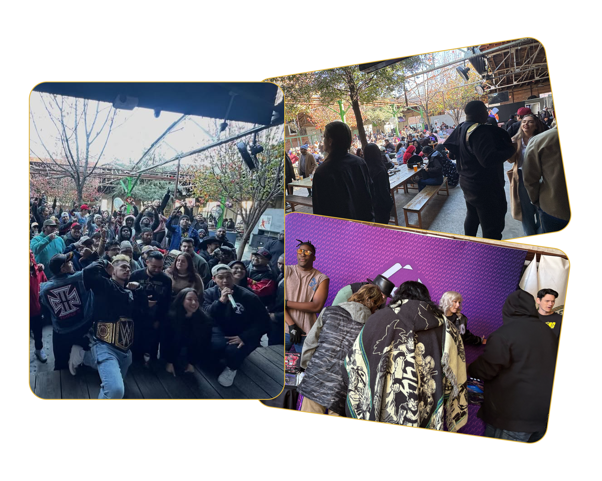 images layed out from apollo