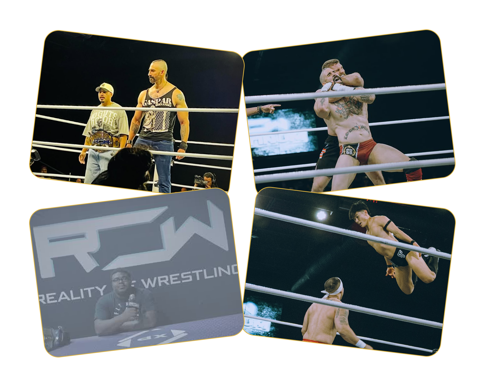 4 imaes showing night of blitz