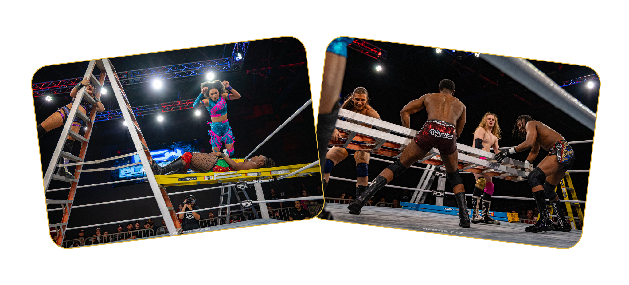 photo from both mens and womens ladder match