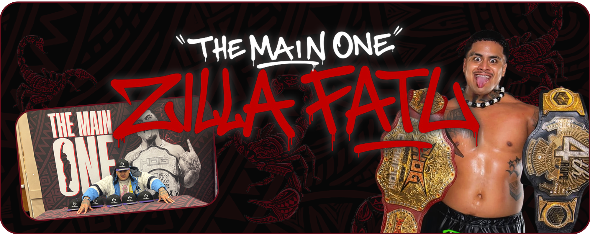 header for zilla newsletter