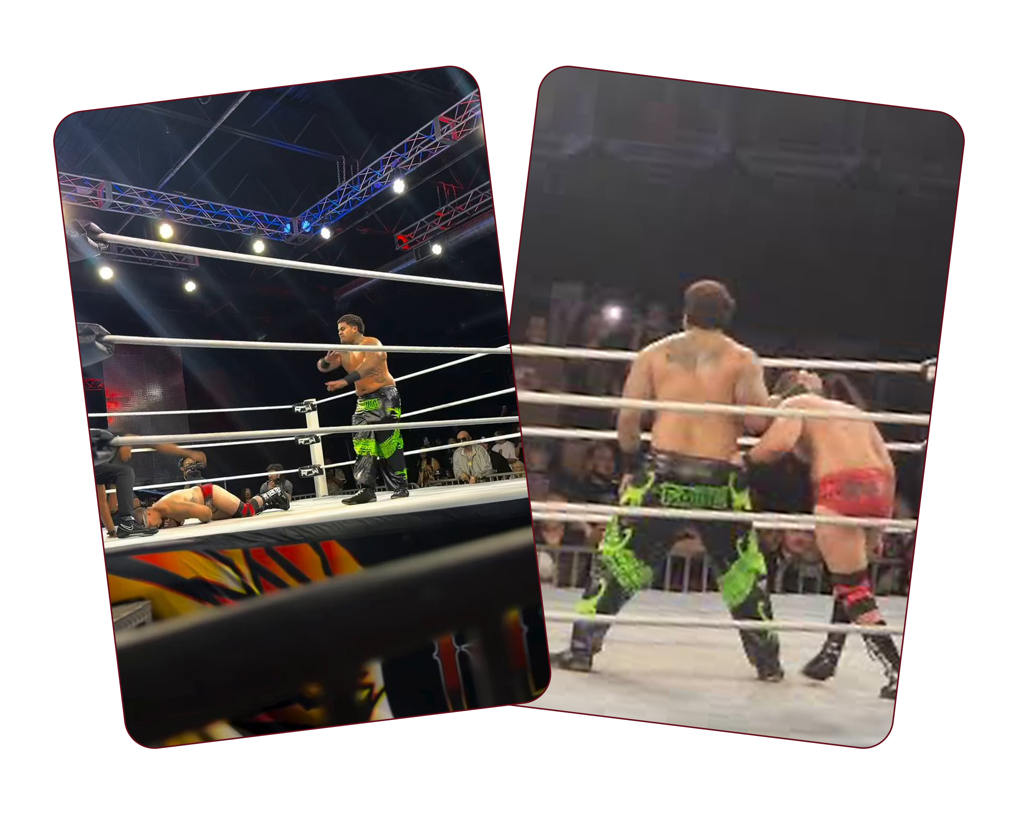 Photos of Zilla at subzero